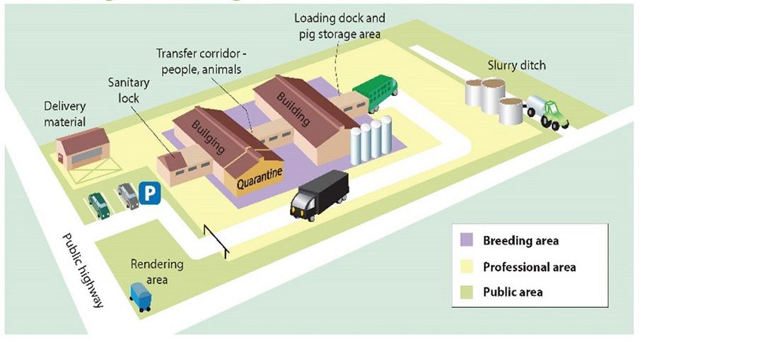 Key Biosecurity Factors For Livestock Producers Poultry Producer