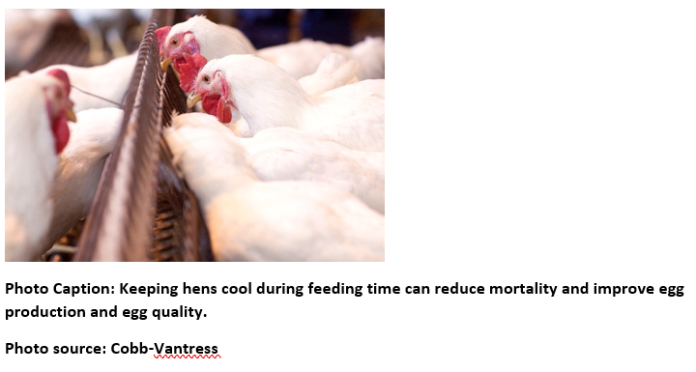 The Positive Impacts of Increasing Ventilation During Feeding in ...