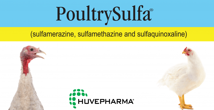 Huvepharma® Returns the only FDA-Approved Triple-Sulfa Medication to ...