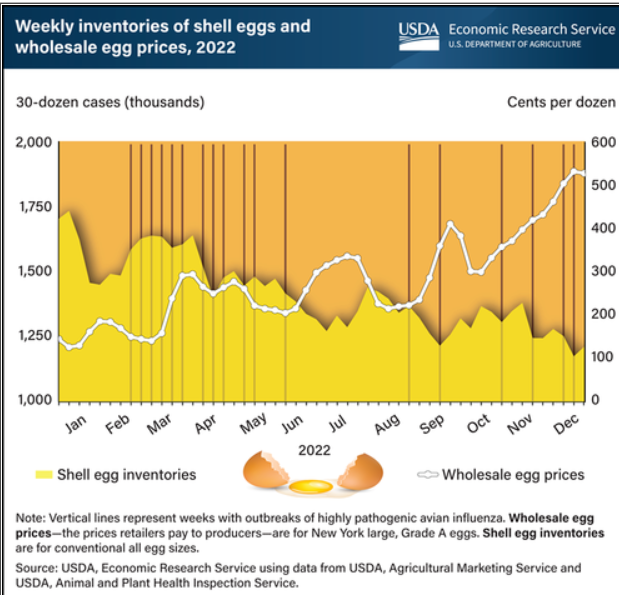 USDA Issues Report Showing Reduction In Egg Supply, Surging Prices ...